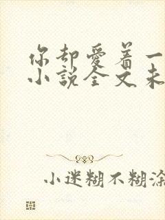 你却爱着一个他小说全文未删减免费