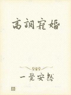 高调宠婚
