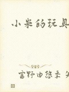 小米的玩具日记