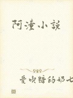 阿潼小说封面