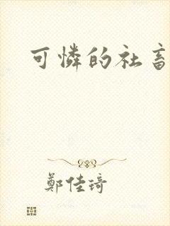 可怜的社畜小说