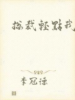 总裁轻点我怕疼封面
