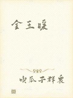 金玉暖封面