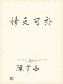 情天可补
