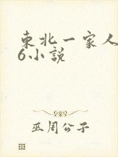 东北一家人1一6小说