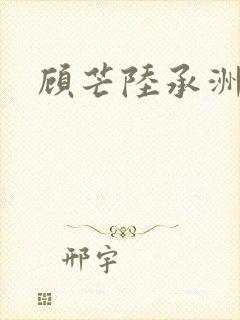 顾芒陆承洲封面