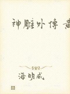 神雕外传 黄蓉封面