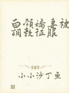 白领娇妻被老板调教征服封面