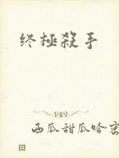 终极杀手