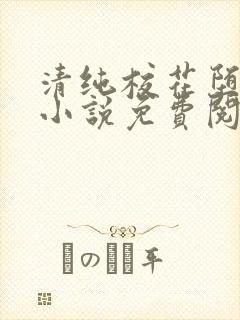 清纯校花堕落记小说免费阅读