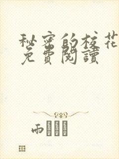 秘密的校花小说免费阅读