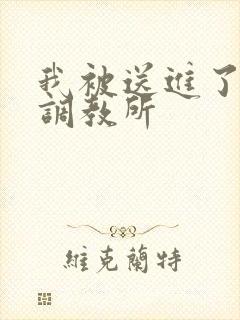 我被送进了私奴调教所