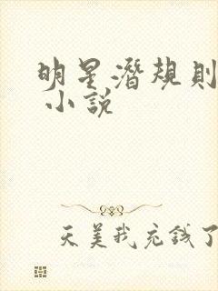 明星潜规则之皇 小说