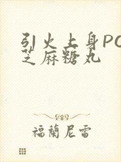 引火上身POP芝麻糖丸