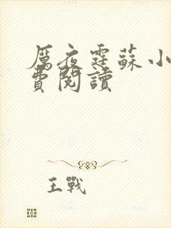 厉夜霆苏小汐免费阅读