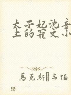 太子妃沈音和皇上的宠文小说