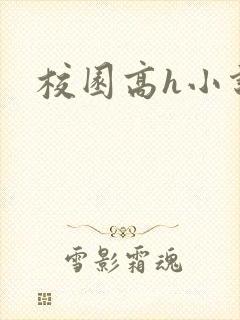 校园高h小说