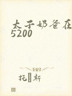 太子奶爸在花都5200封面