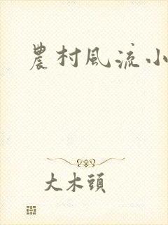 农村风流小说封面