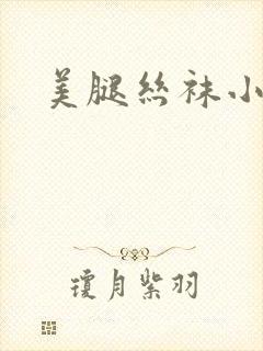 美腿丝袜小说