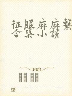 征服麻麻系列大合集小说