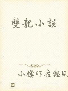 双龙小说封面