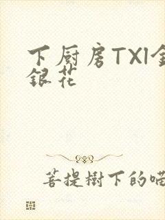 下厨房TXl金银花