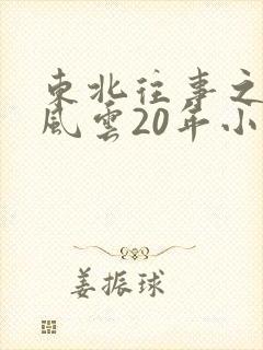 东北往事之黑道风云20年小说