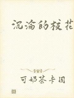 沉沦的校花