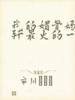 我的媚骨妈妈林轩最火的一句