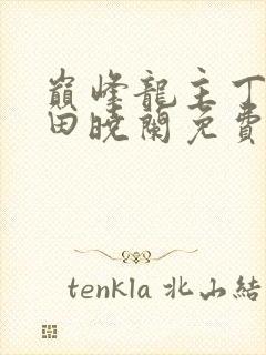巅峰龙主丁长顺田晓兰免费阅读封面