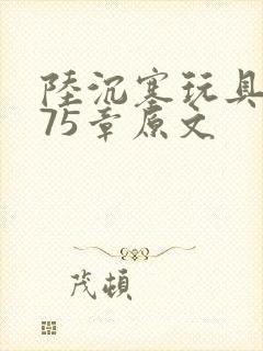 陆沉塞玩具高速75章原文