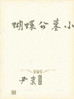 蝴蝶公墓小说封面