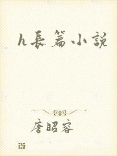 h长篇小说
