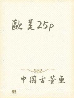 欧美25p