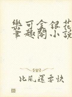 乐可金银花免费笔趣阁小说