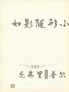 如影随形小说封面