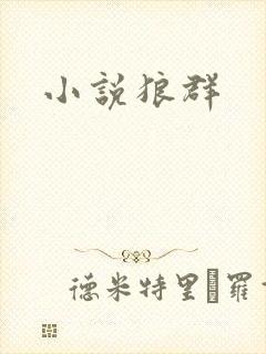小说狼群封面