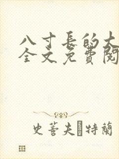 八寸长的大宝贝全文免费阅读