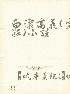 白洁高义(完整版)小说封面