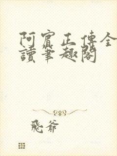 阿宾正传全文阅读笔趣阁