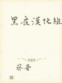 黑夜汉化组