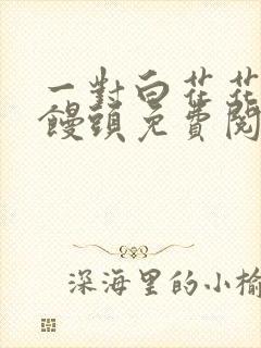 一对白花花的大馒头免费阅读