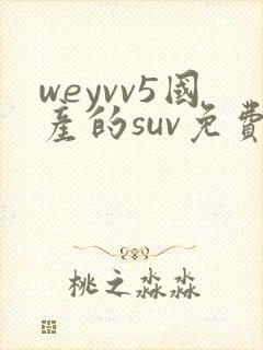 weyvv5国产的suv免费封面