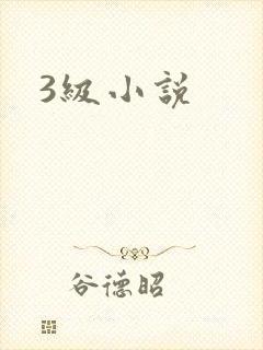 3级小说封面