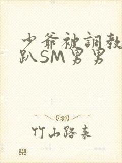 少爷被调教室跪趴SM男男封面