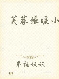 芙蓉帐暖小说