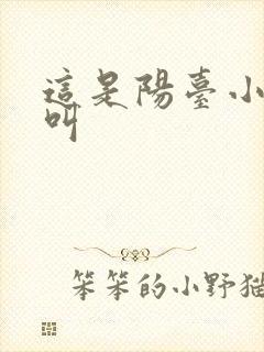这是阳台小点声叫封面