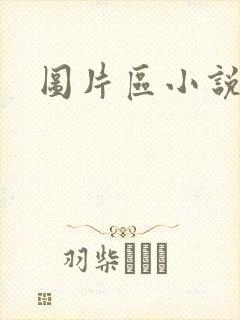 图片区小说区