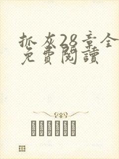 抓灰28章全部免费阅读